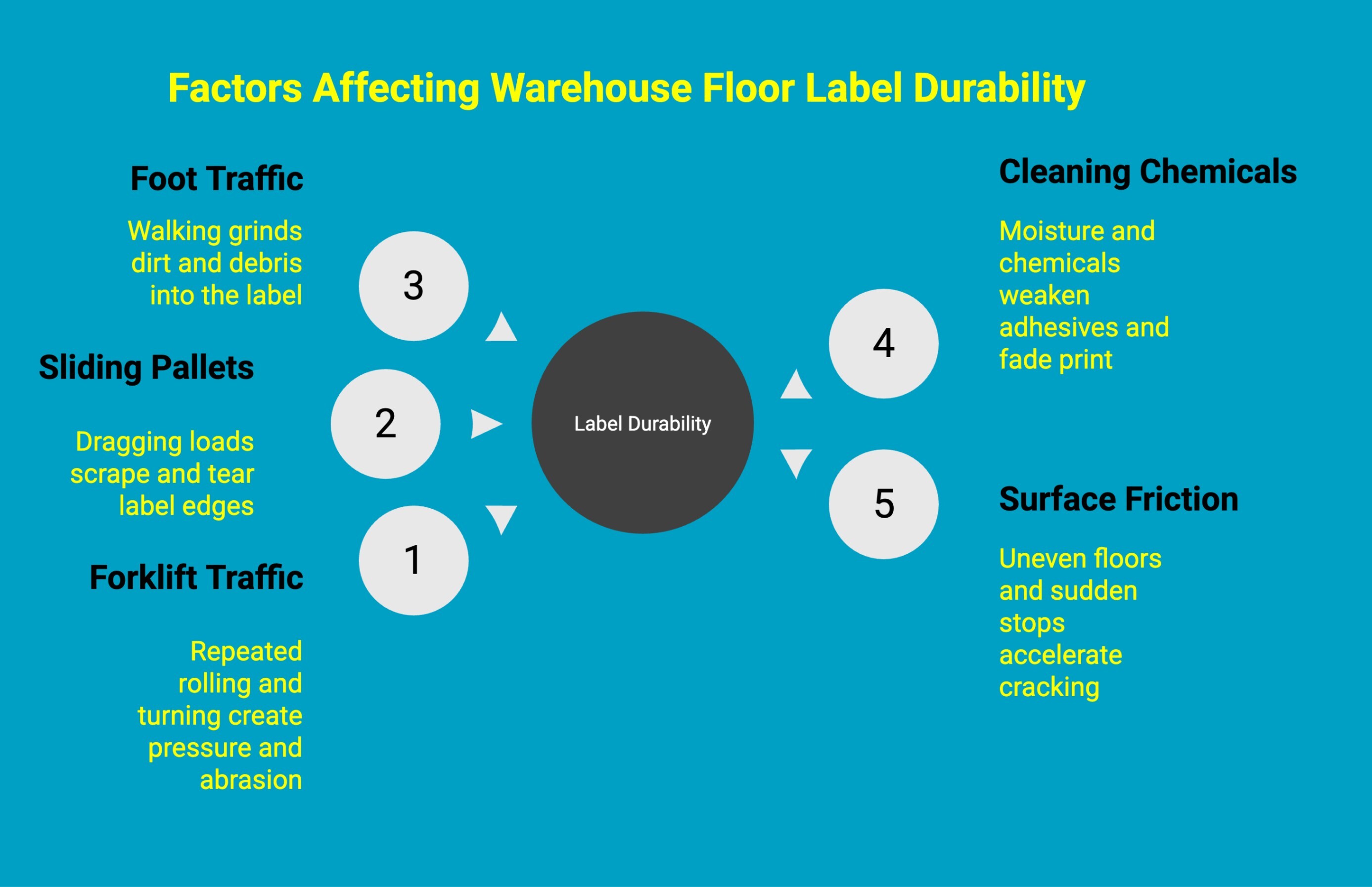 Infographic on factors affecting warehouse floor label durability Infographic on factors affecting warehouse floor label durability