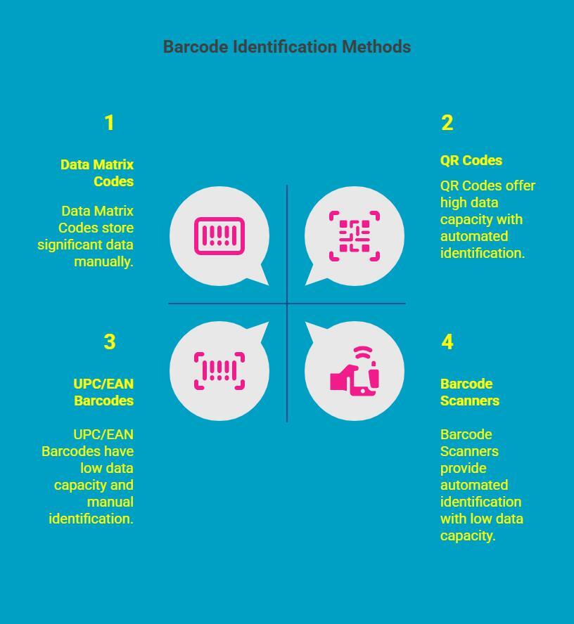 Infographic on How to Know What Barcode You Have