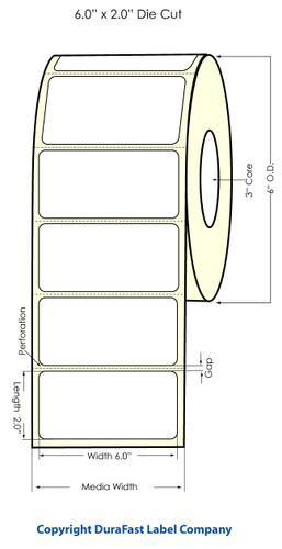 Polyester labels are commonly used for asset tracking because they resist high temperatures and remain intact over long production cycles.